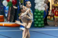 0294-20240329_G2DSC01154