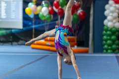 0893-20240329_G5DSC04080