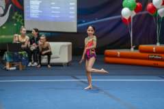 0082-20240330_G2-DSC01125