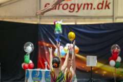 0042-20240331_F1-DSC09125